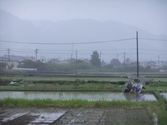 田んぼと田植え機