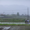 田んぼと田植え機