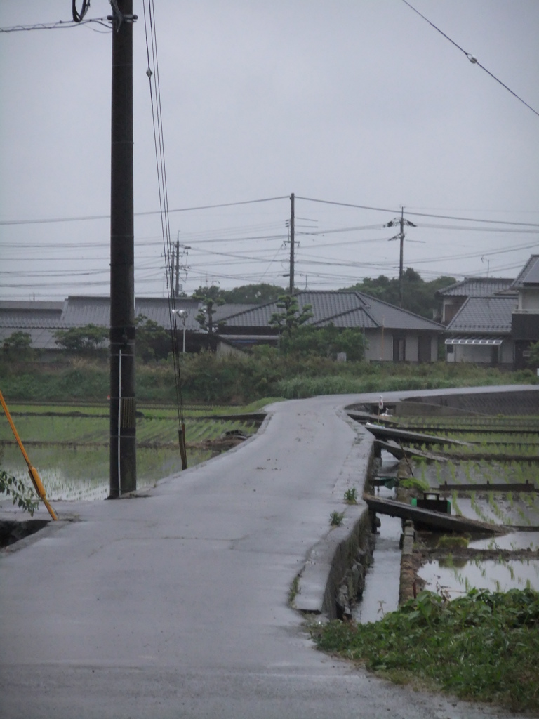 雨の日の道