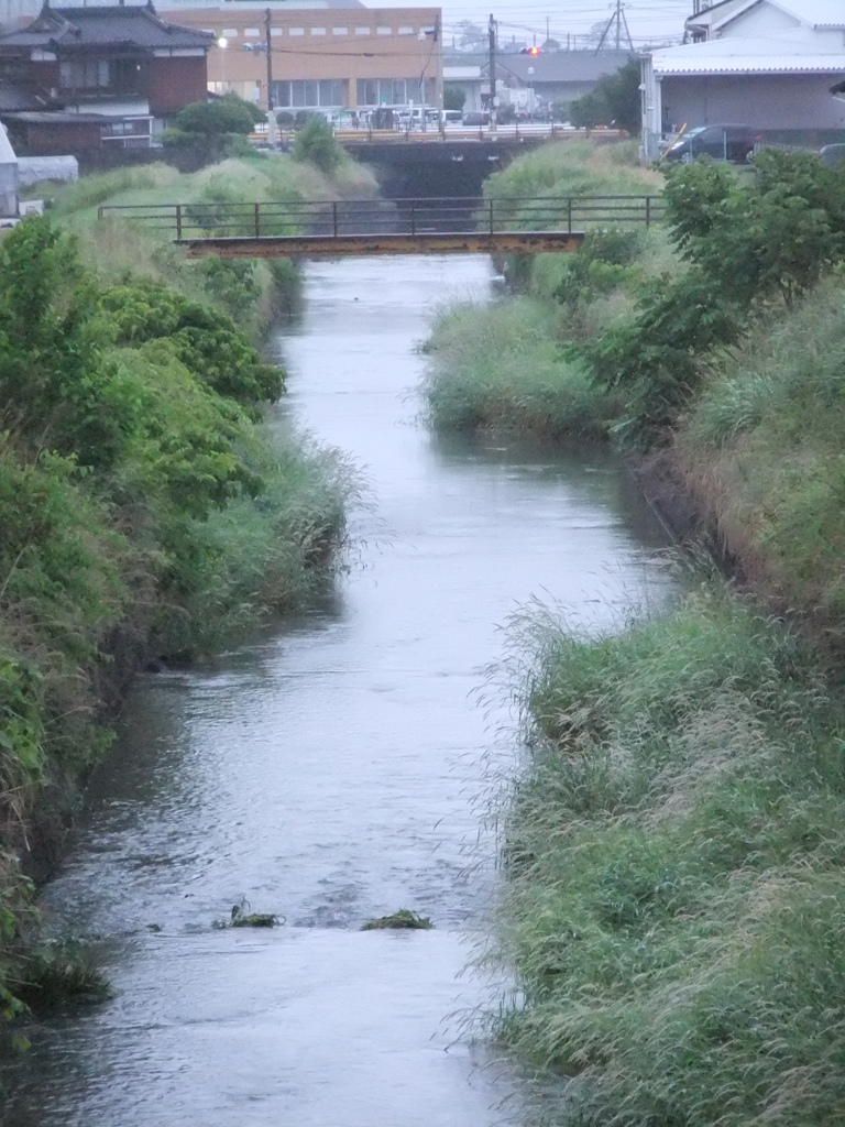 雨の日の川