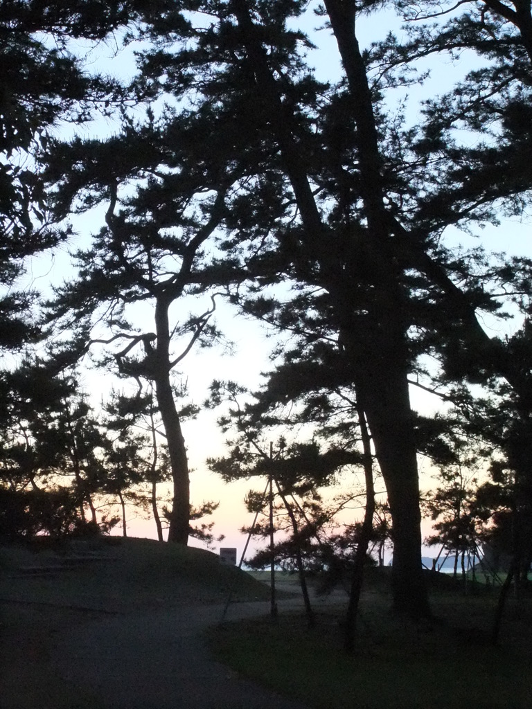 夕暮れの空と松