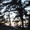 夕暮れの空と松