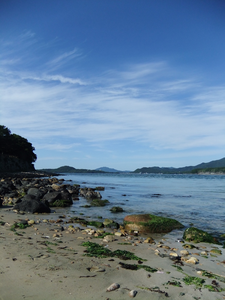 海岸
