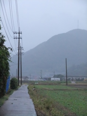 雨の日の山