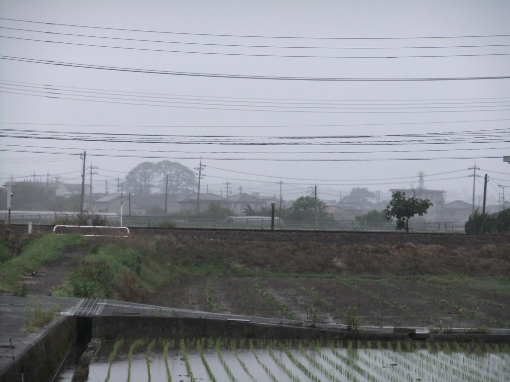 雨で霞む町2