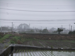 雨で霞む町2