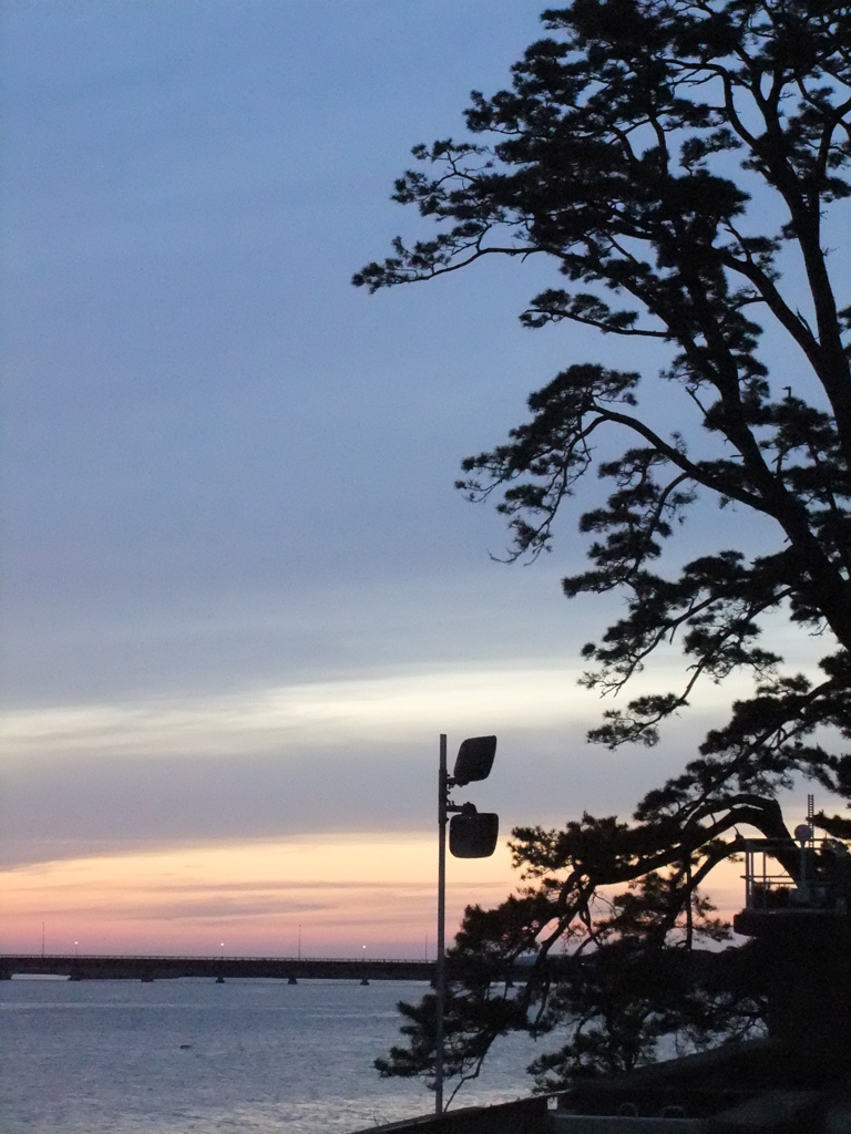 夕暮れの川と松