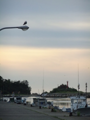 なんか不安になる空