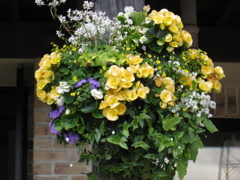 花かご　２