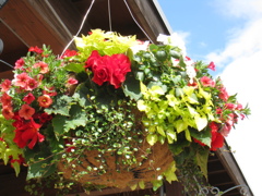 花かご