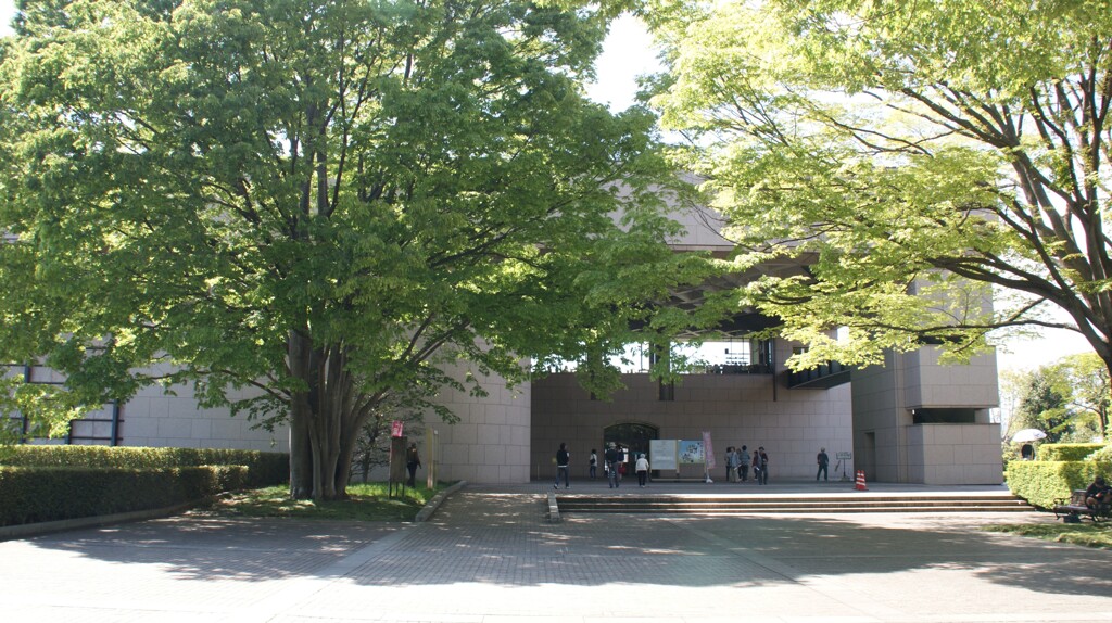 県立博物館の入口