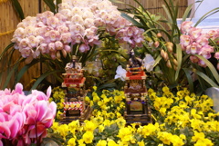 花フェスタ2011　作品４