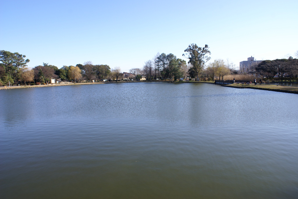 水城公園３