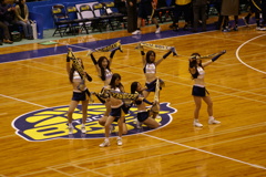 ブレッキシーのお姉さんたち