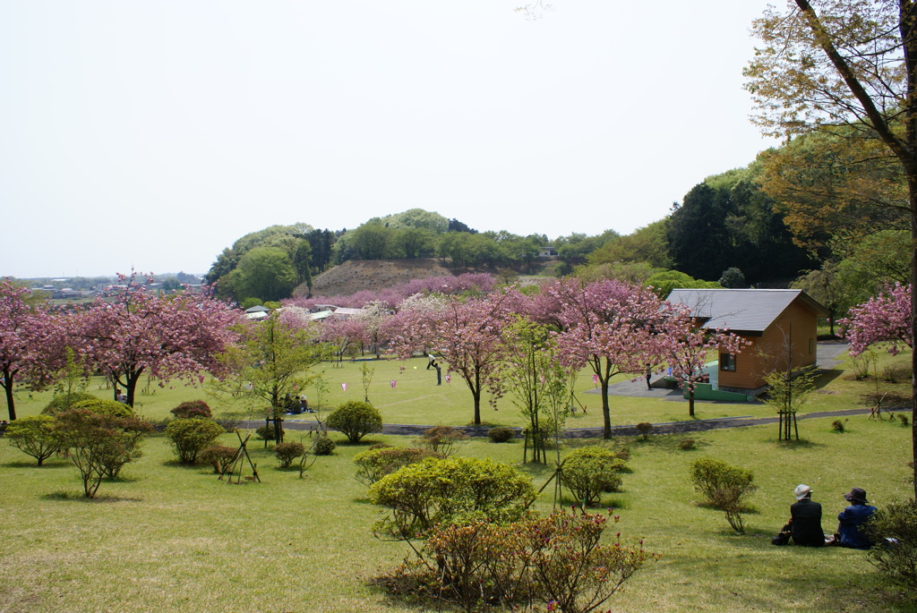 都賀の里全景
