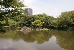 小石川後楽園