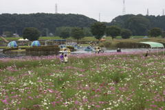 グリーンバーク全景