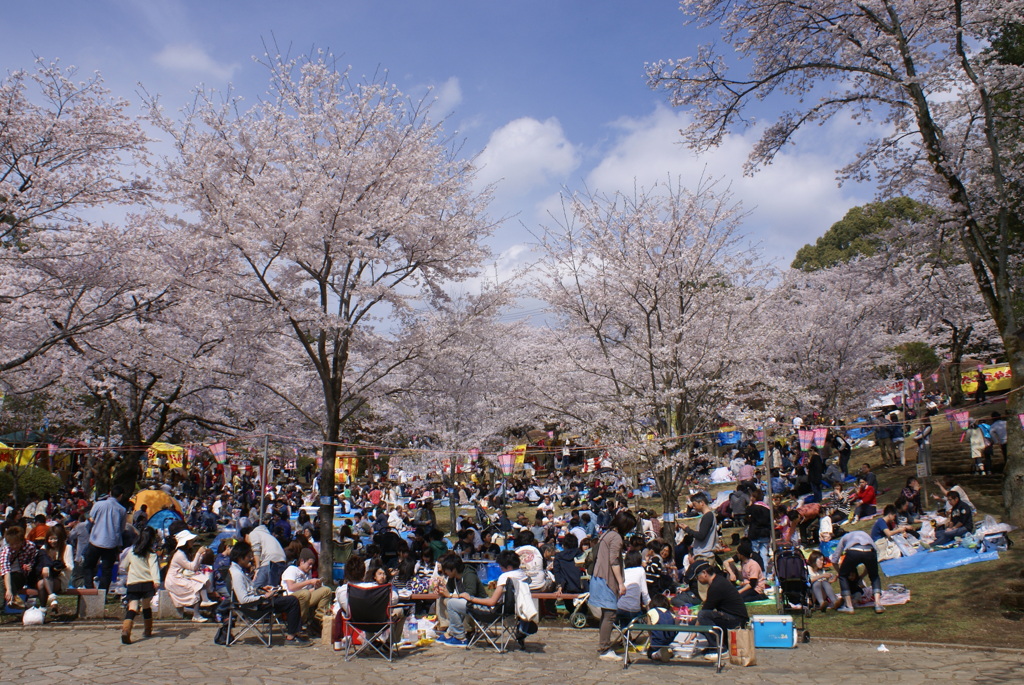 八幡山公園３