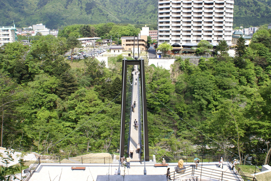 大吊橋全景