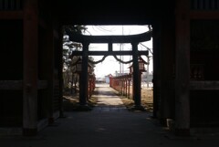 楼門から見た参道