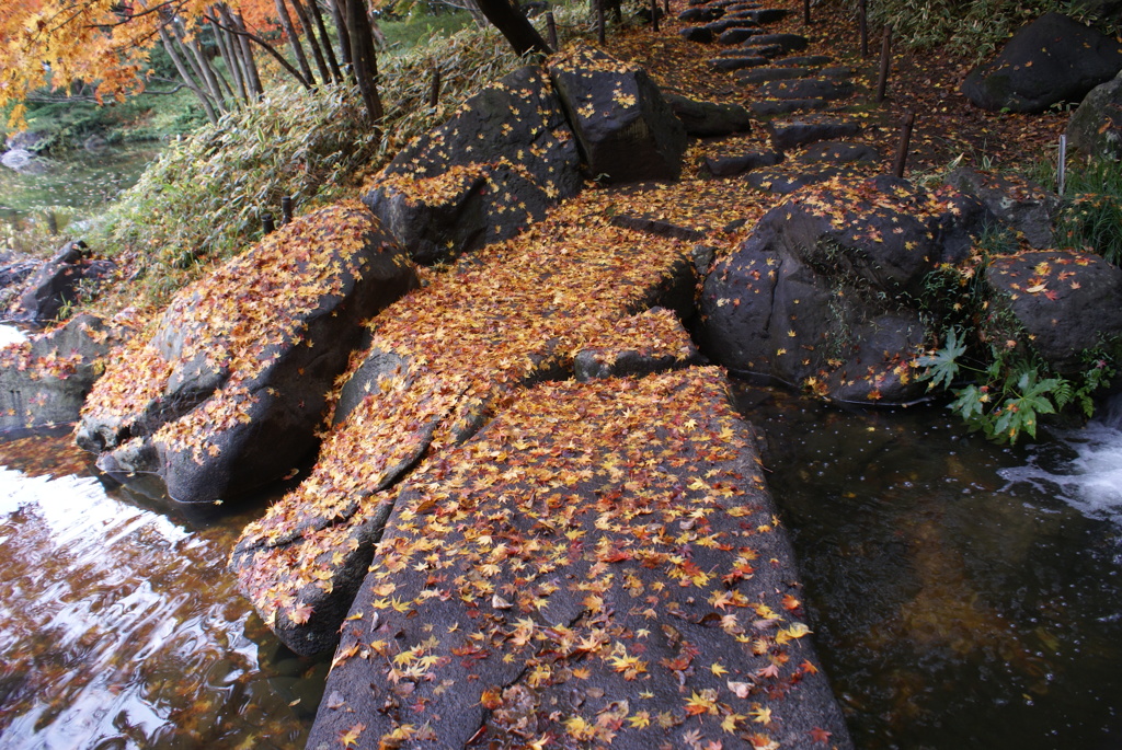 遊歩道１
