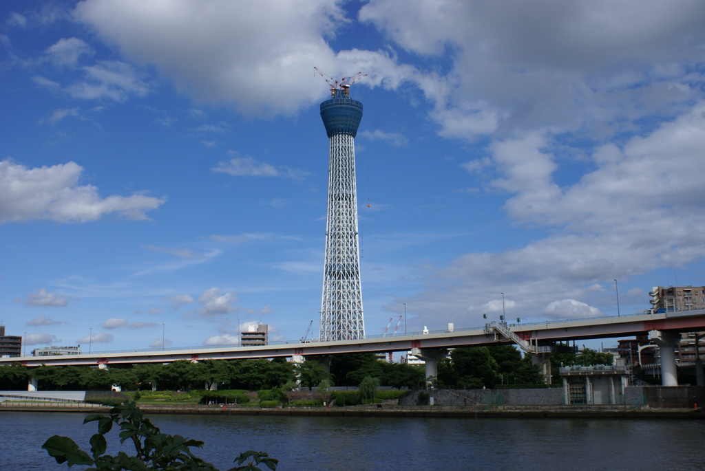 建設中のスカイツリー２