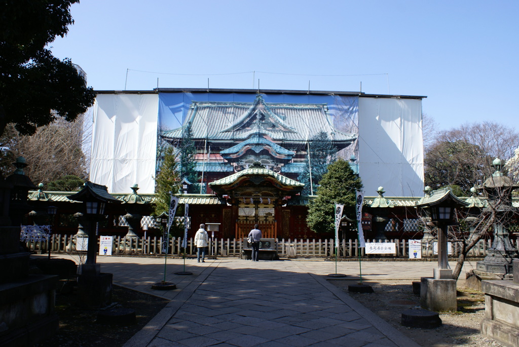 上野東照宮　改修中でした