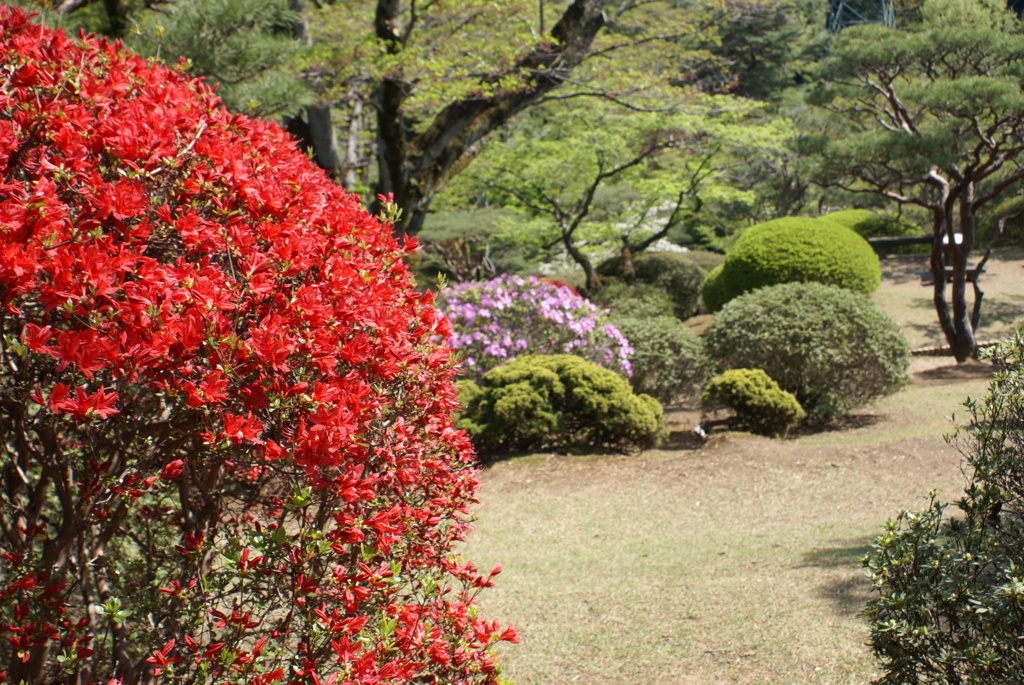 八幡山公園