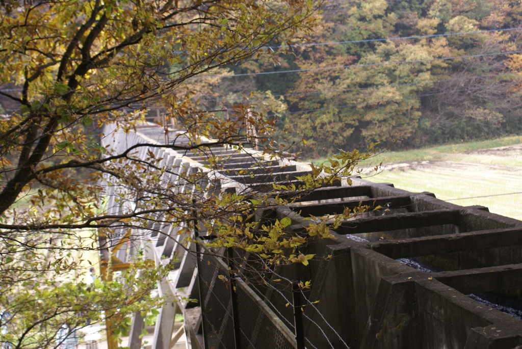 橋の上部