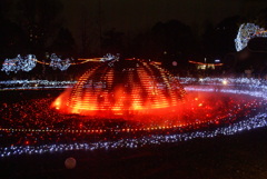 イルミネーション４