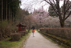 化け地蔵の参道