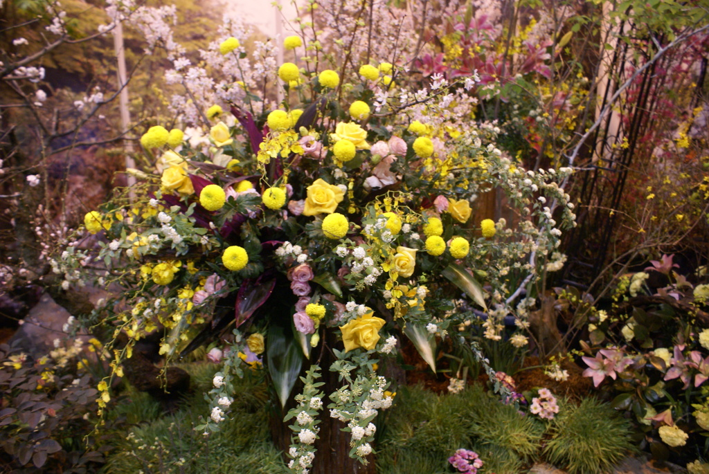 花の植え込み
