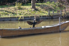 鳥の船頭