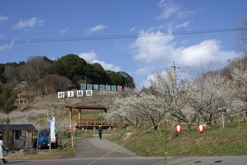 梅の里