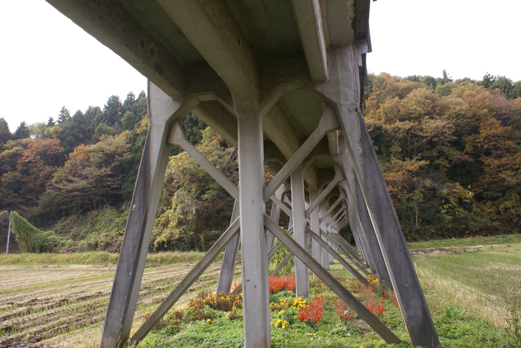 橋脚