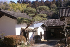 室内からの眺め