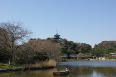 三渓園　大池と三重塔