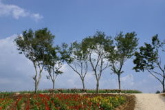 フラワーワールド１