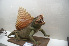 ディメトロドンの複製