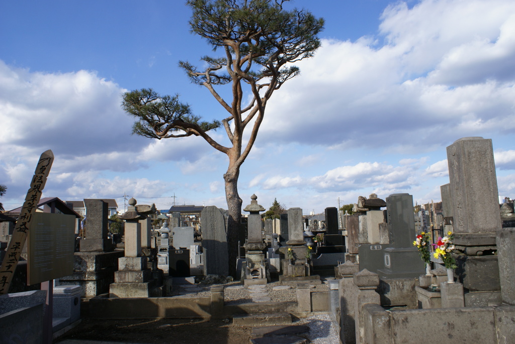 蒲生君平墓所