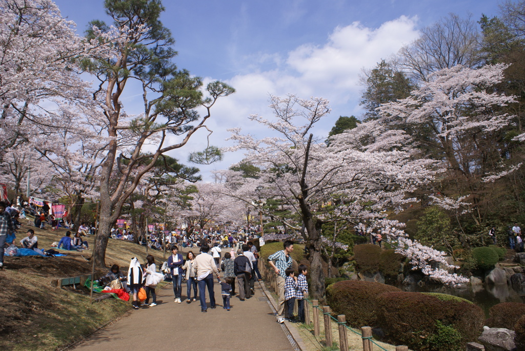 八幡山公園１