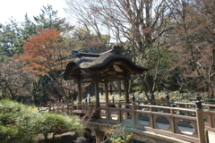 亭樹