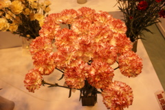 花フェスタ2011　作品９