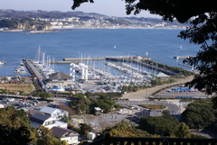 ヨットハーバー