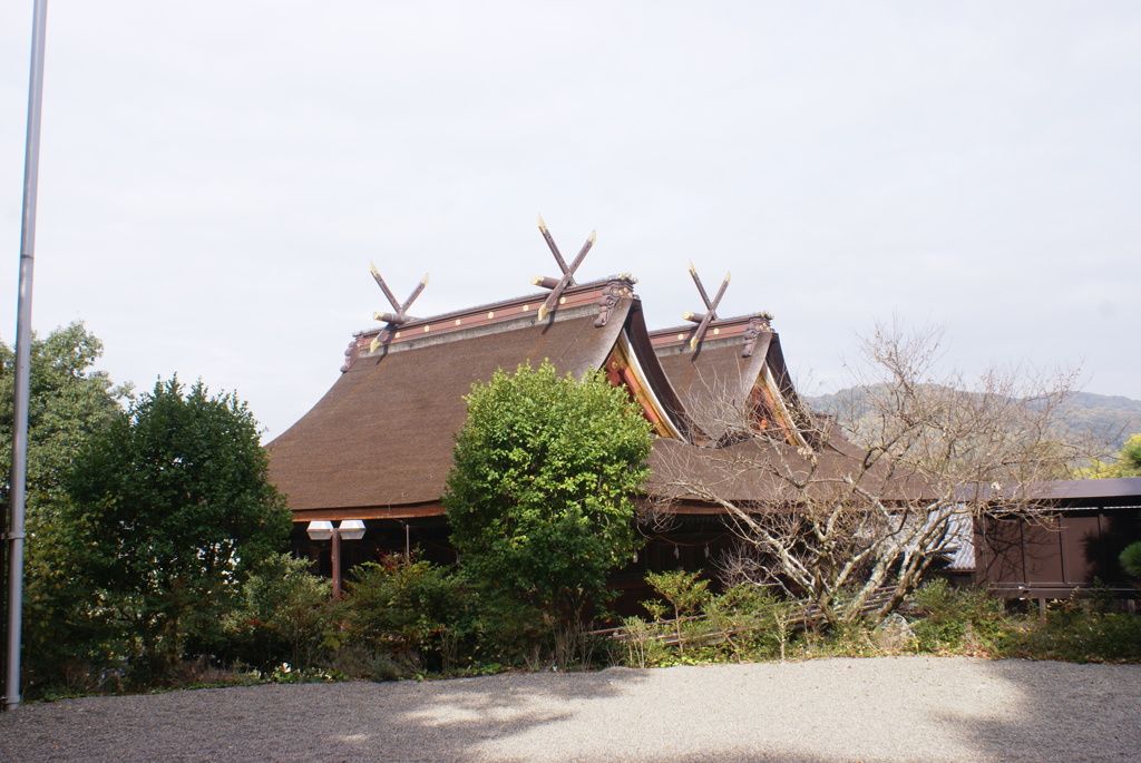 本殿の屋根