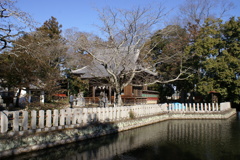 池から見た拝殿