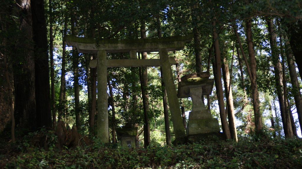 摂社の鳥居