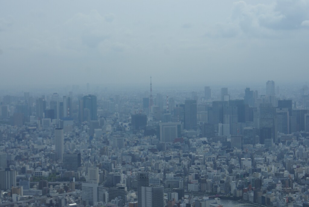 東京タワー方向