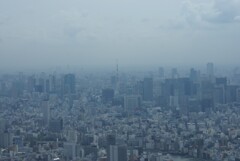 東京タワー方向