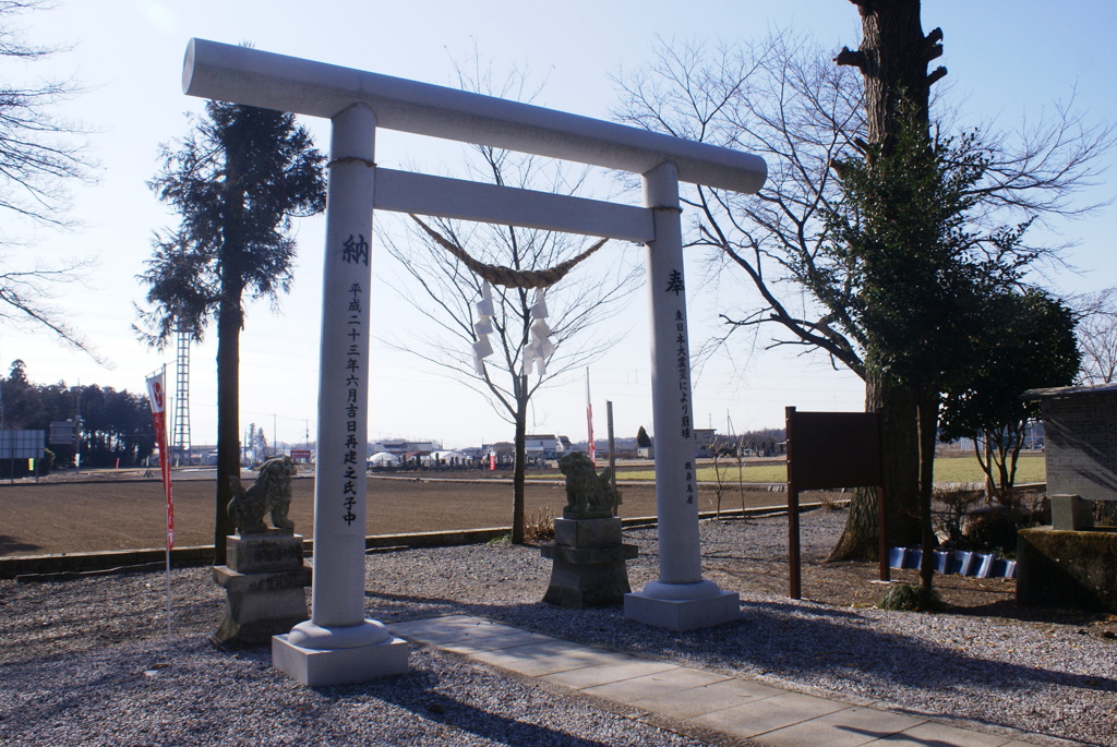 境内から見た鳥居